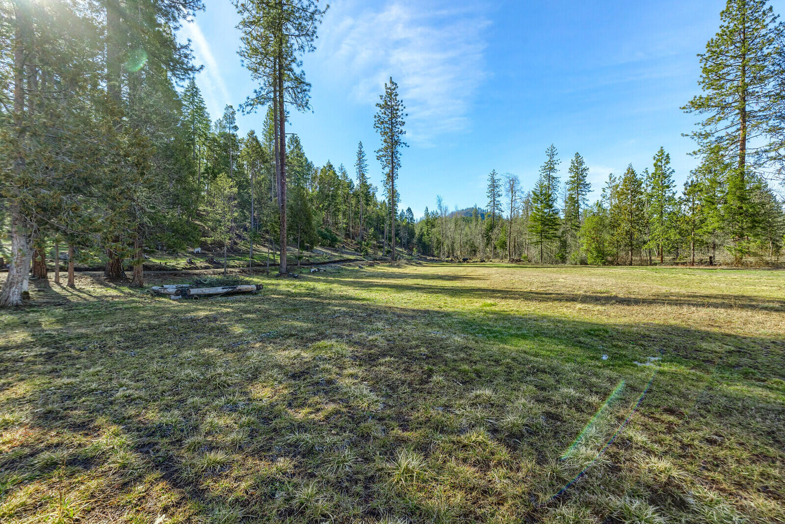 1501 North Obenchain Road Eagle Point, OR 97524 - Photo 3 of 68 a view of a grassy field with trees