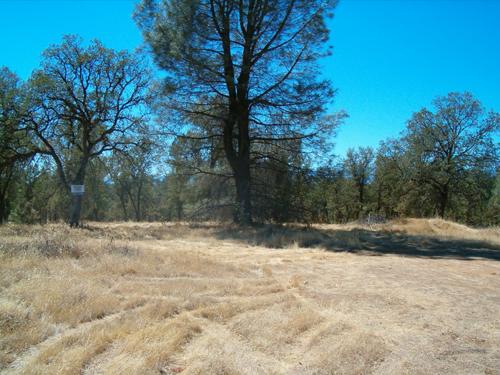 Old Ranch Anderson, CA 96007 - Photo 1 of 2 Old Ranch Dr