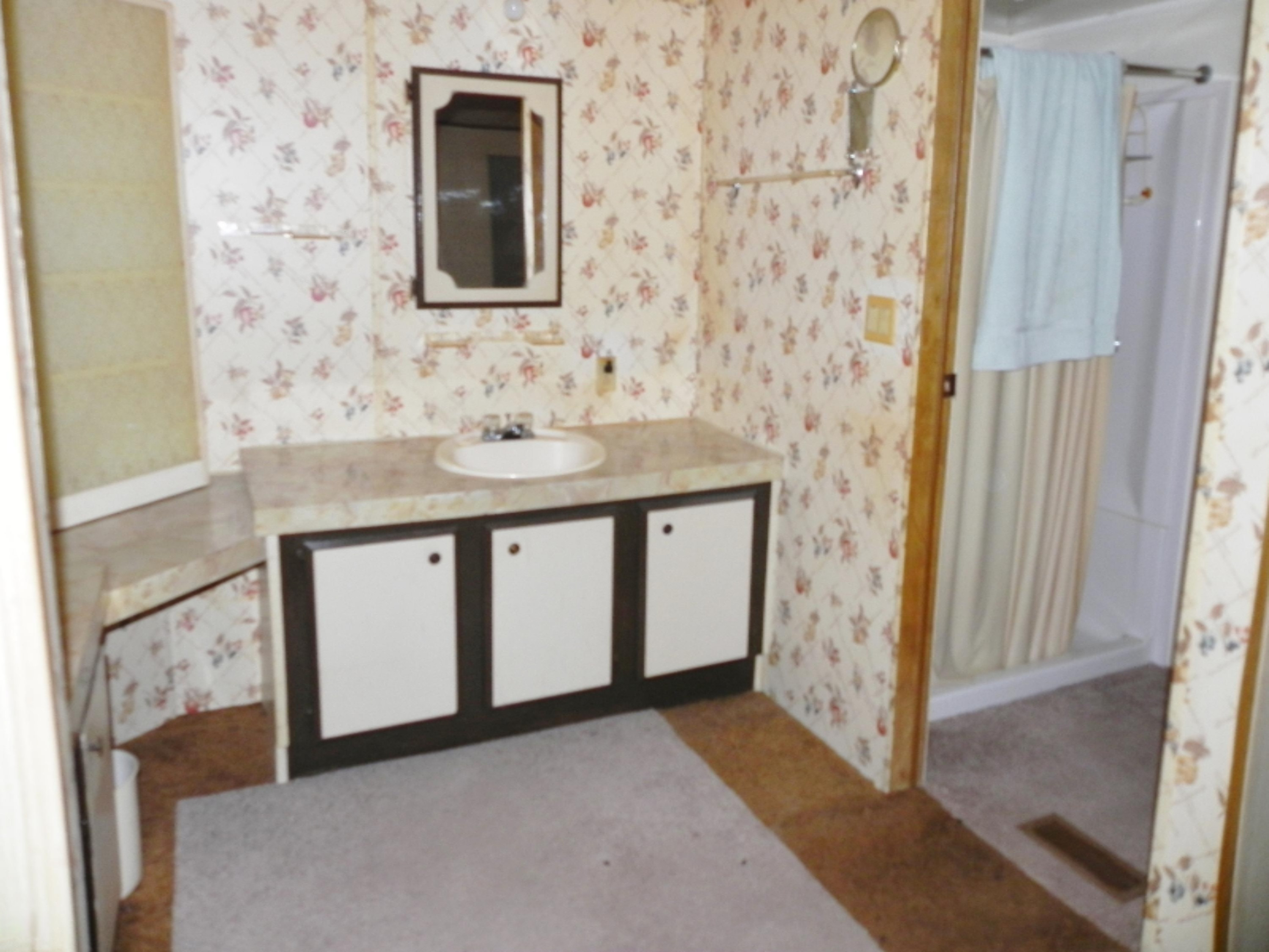 17400 Michigan Avenue Three Rivers, MI 49093 - Photo 6 of 15 DSCN8299