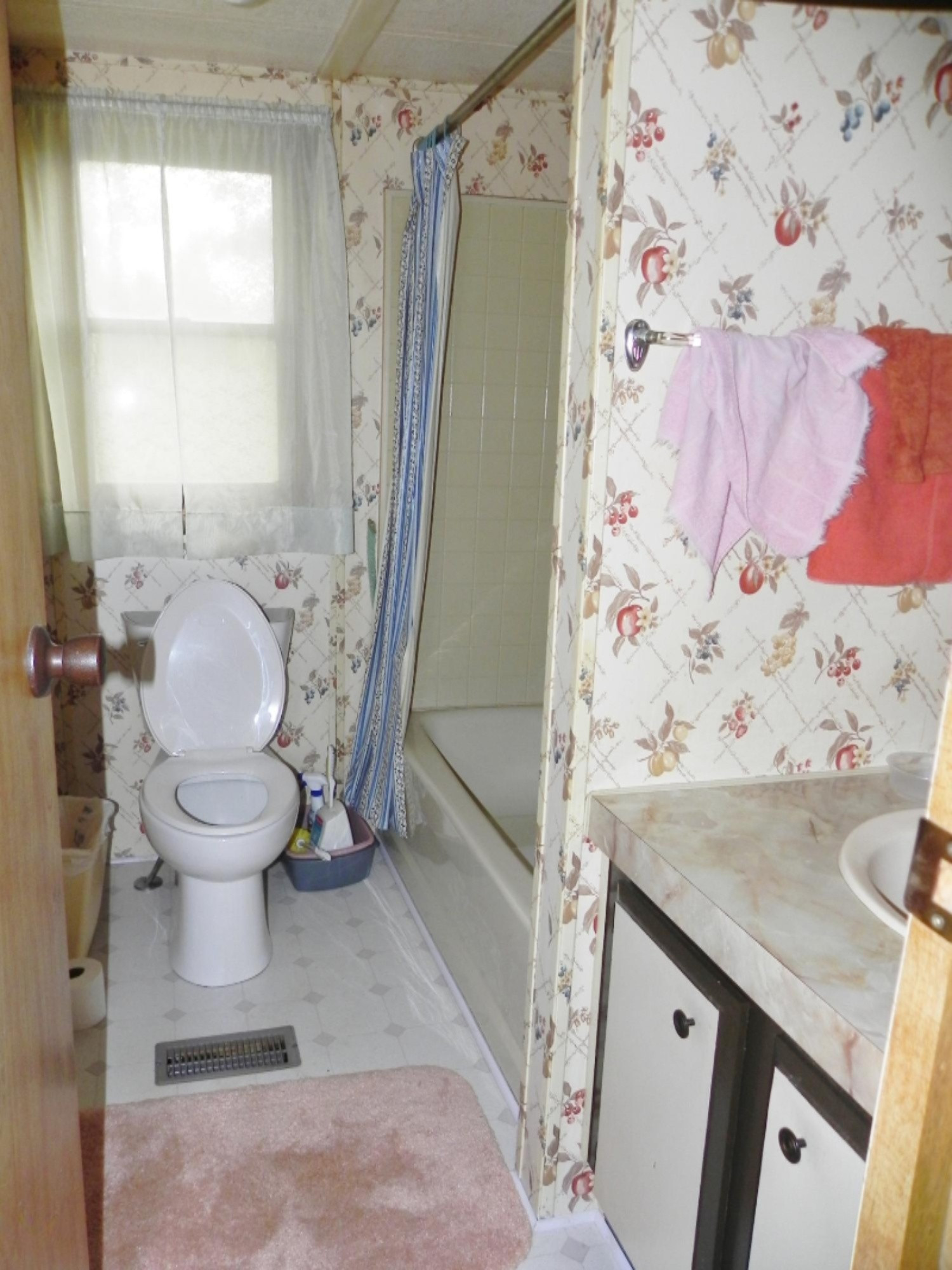 17400 Michigan Avenue Three Rivers, MI 49093 - Photo 9 of 15 DSCN8296