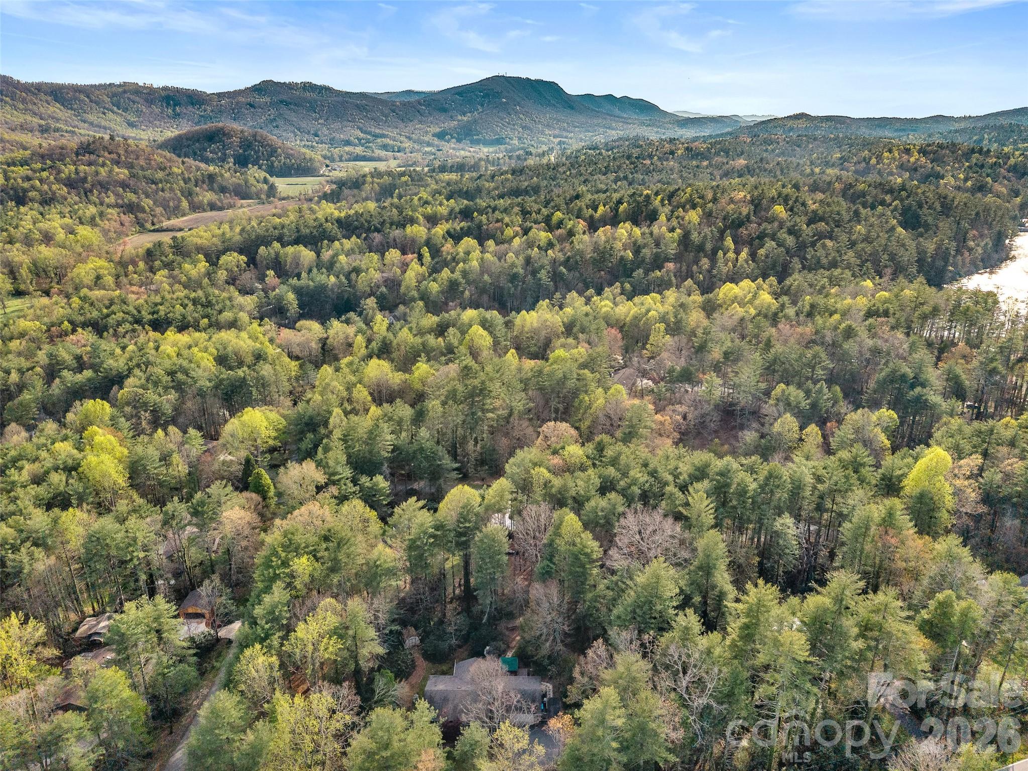 4030 Little River Road Hendersonville, NC 28739 - Photo 4 of 44