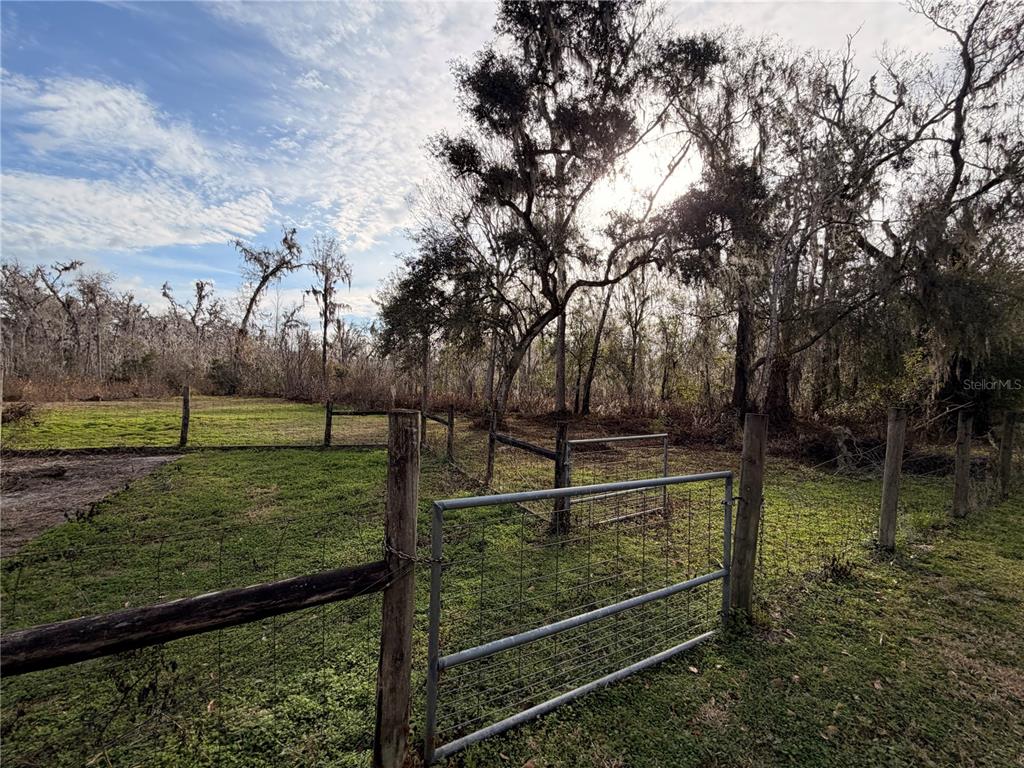 765 Sloans Ridge Road Groveland, FL 34736 - Photo 53 of 62