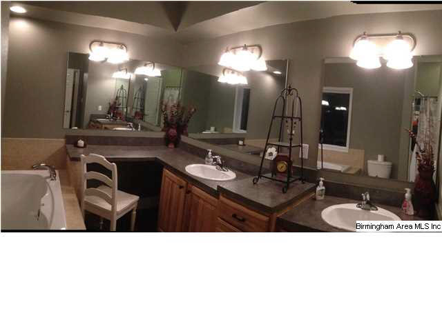 3644 Wilson Chapel Road Altoona, AL 35952 - Photo 9 of 21