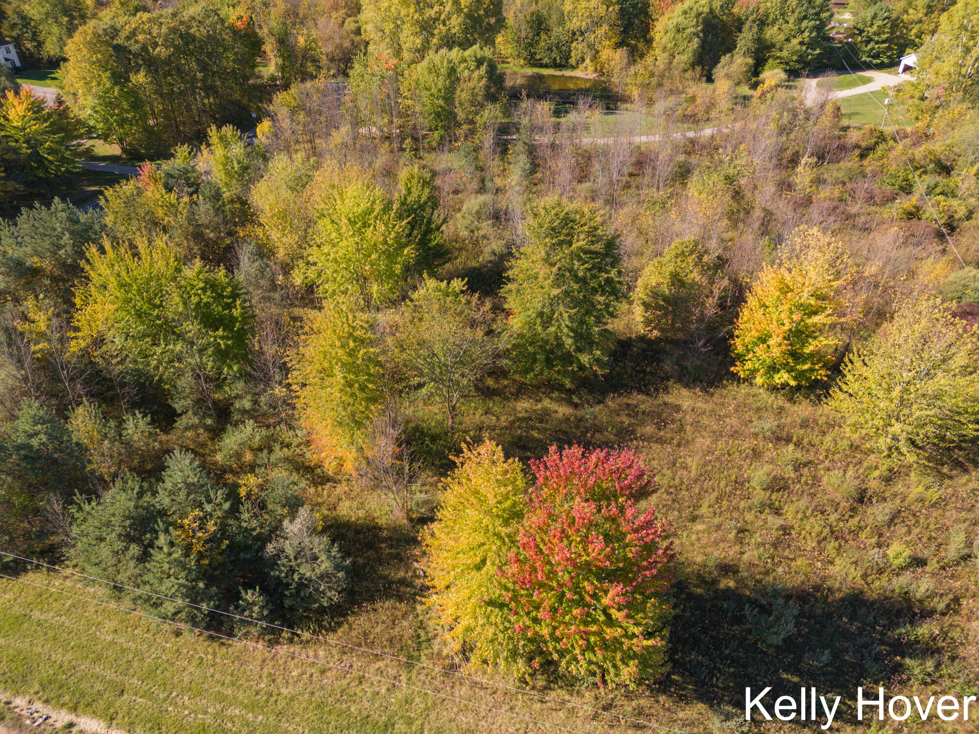 9653 52nd Avenue Allendale, MI 49401 - Photo 10 of 12 DJI_20251016120640_0129_D