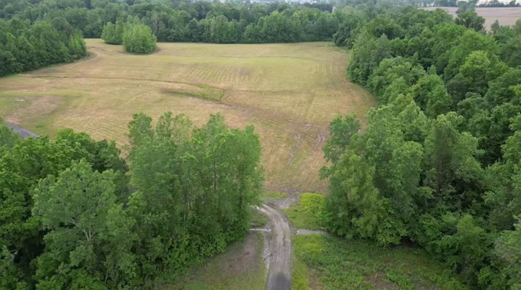 357 Chisholm Lake Road Ripley, TN 38063 - Photo 3 of 7 a view of a water pond with green yard