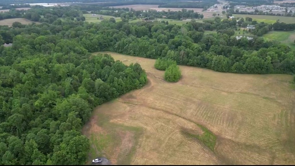 357 Chisholm Lake Road Ripley, TN 38063 - Photo 4 of 7 a view of a yard with plants
