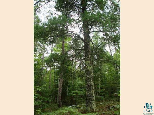 12956 West Ridge Road Ely, MN 55731 - Photo 4 of 6