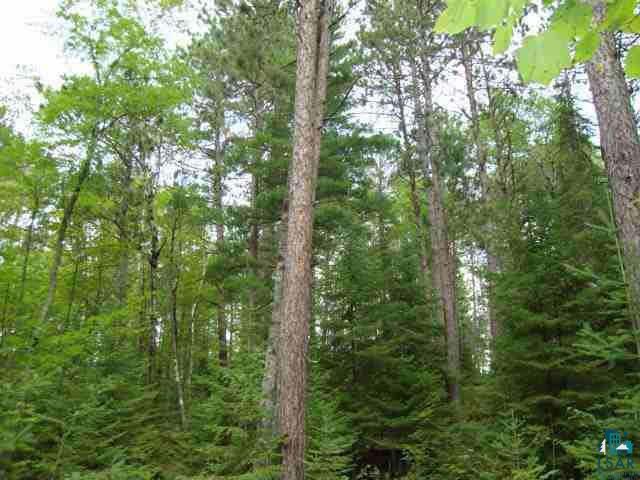 12956 West Ridge Road Ely, MN 55731 - Photo 5 of 6