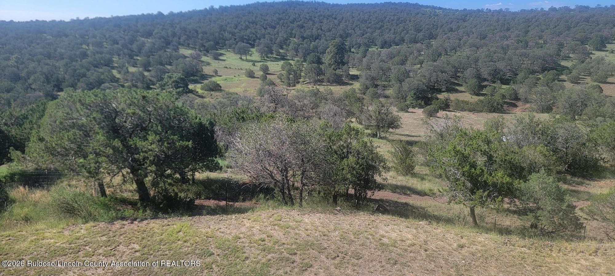 111 Ranchmans Camp Road Capitan, NM 88316 - Photo 59 of 72 Gallery Image 59