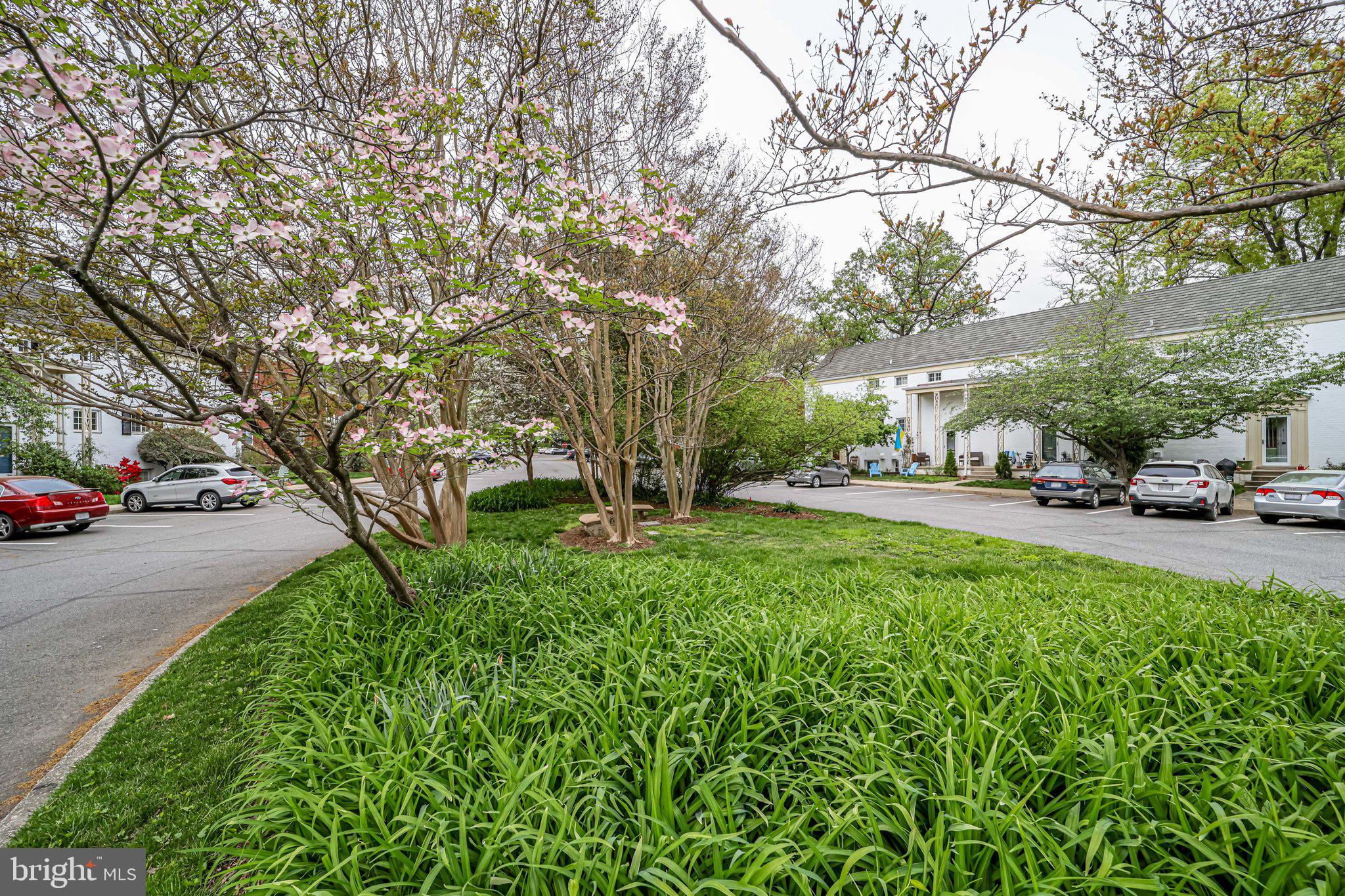1609 Ripon Place Alexandria, VA 22302 - Photo 36 of 37