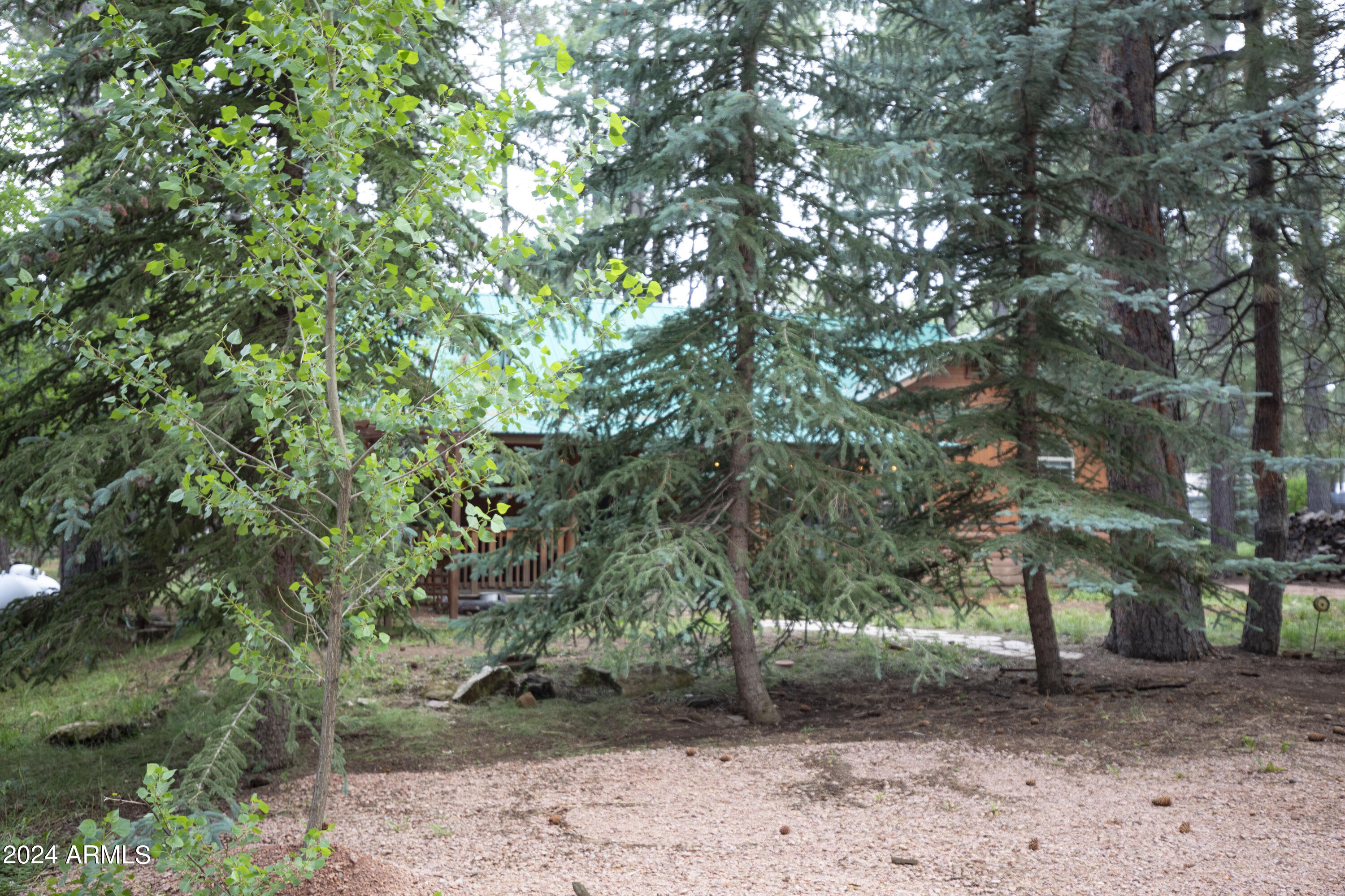 2524 Old Rim Road Forest Lakes, AZ 85931 - Photo 40 of 44 a backyard of a house with lots of trees