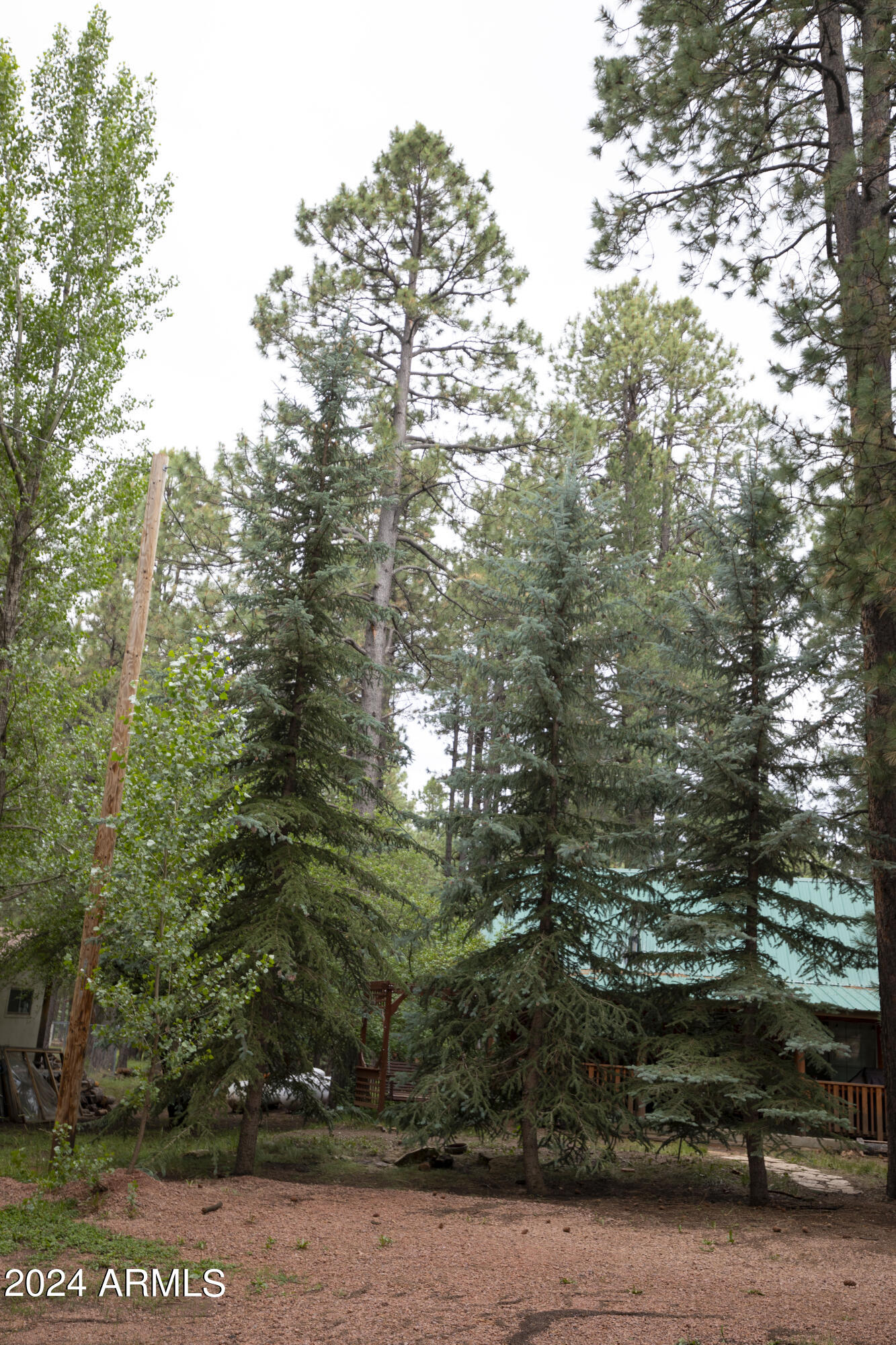 2524 Old Rim Road Forest Lakes, AZ 85931 - Photo 41 of 44 a view of outdoor space and trees