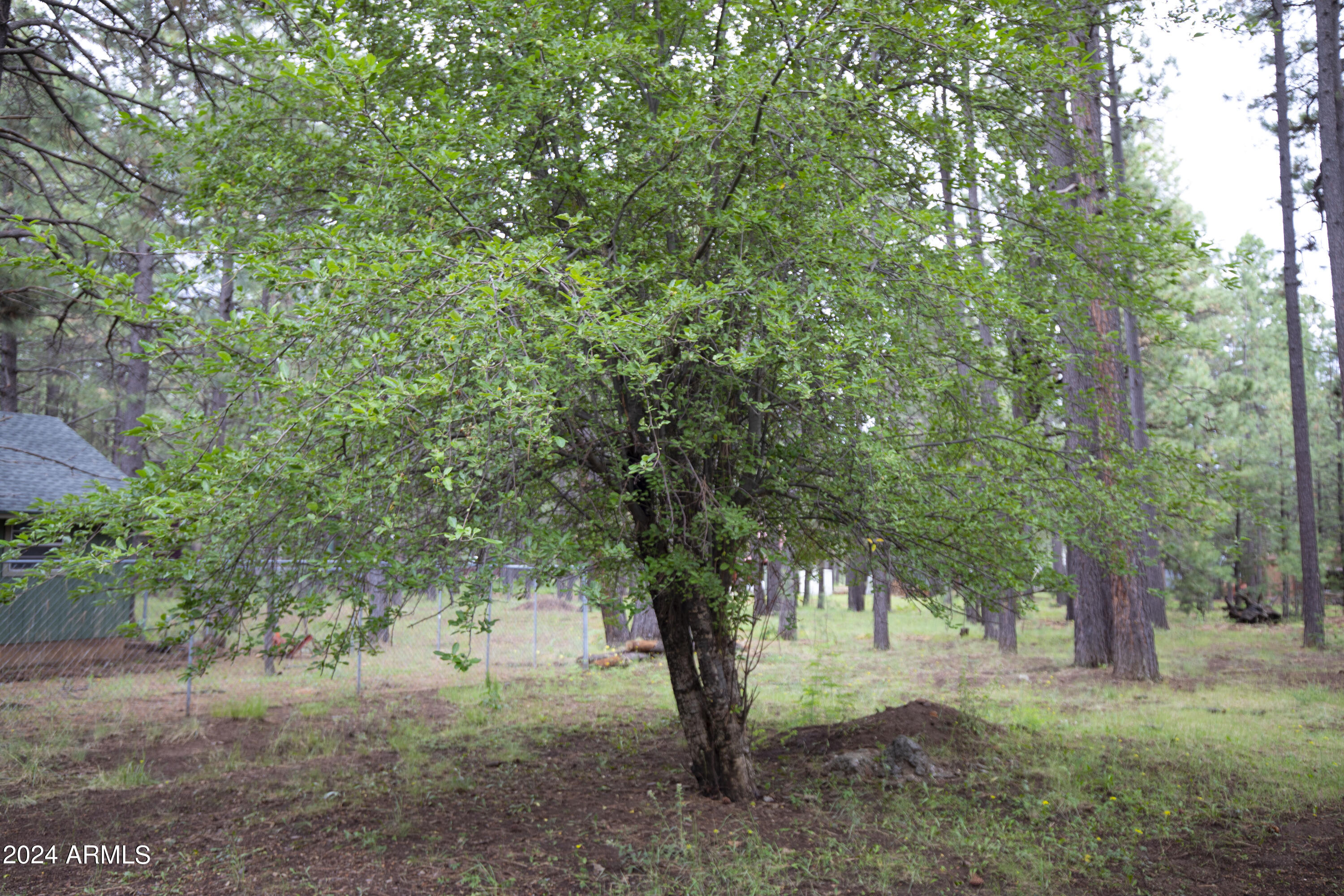 2524 Old Rim Road Forest Lakes, AZ 85931 - Photo 42 of 44 a view of an outdoor space with yard