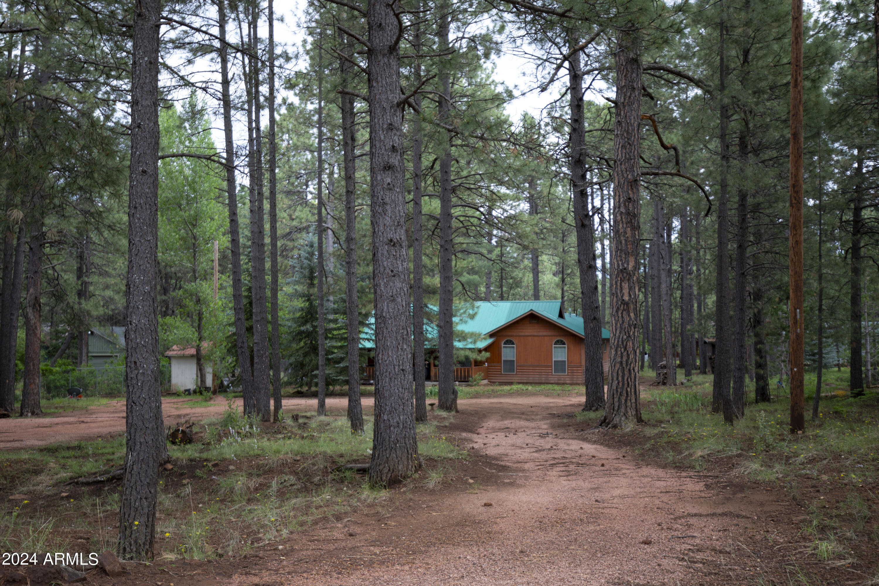 2524 Old Rim Road Forest Lakes, AZ 85931 - Photo 6 of 44 a backyard of a house with lots of trees and wooden fence