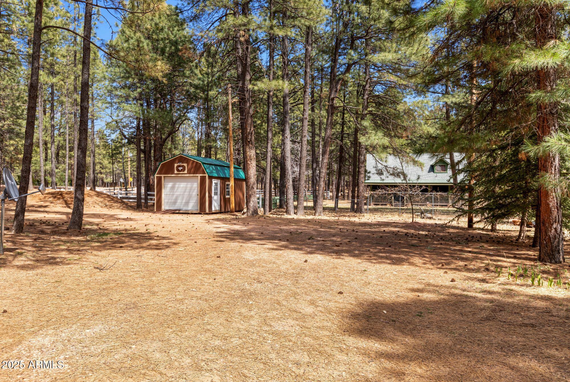 2524 Old Rim Road Forest Lakes, AZ 85931 - Photo 7 of 44 a view of road with trees
