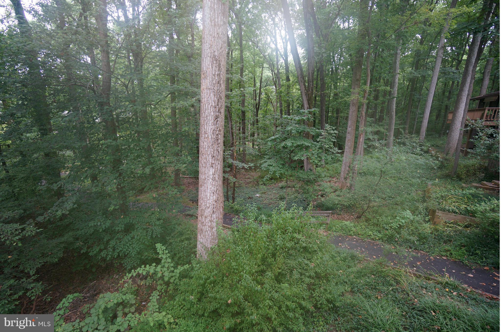 10975 Swansfield Road Columbia, MD 21044 - Photo 15 of 30 View from Back Yard