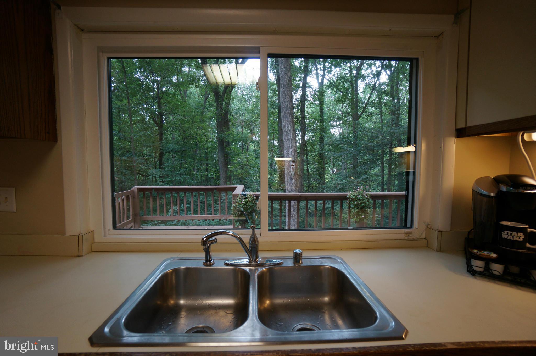 10975 Swansfield Road Columbia, MD 21044 - Photo 18 of 30 View from Kitchen Sink