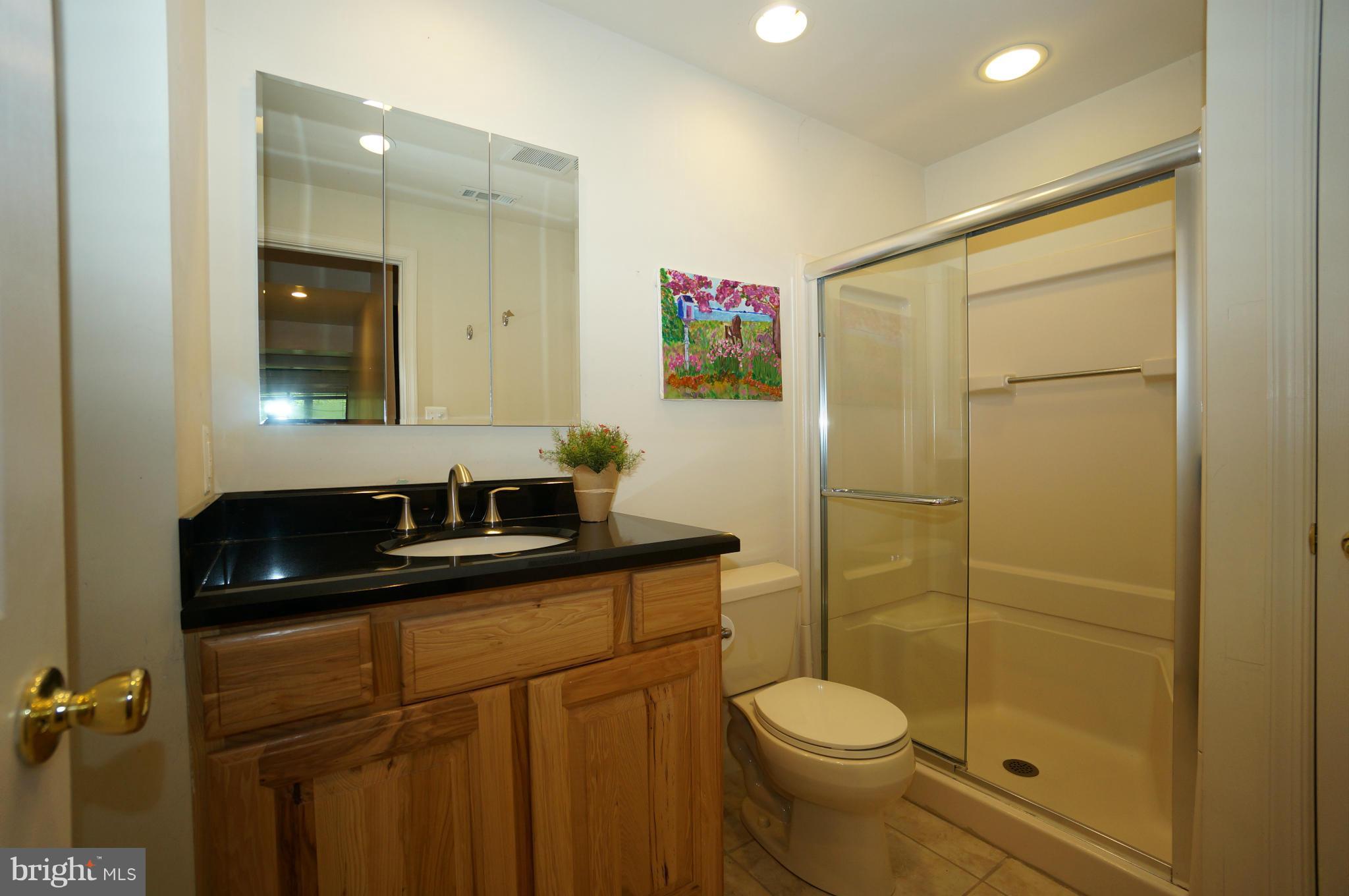 10975 Swansfield Road Columbia, MD 21044 - Photo 30 of 30 3rd Full Bath in Lower Level