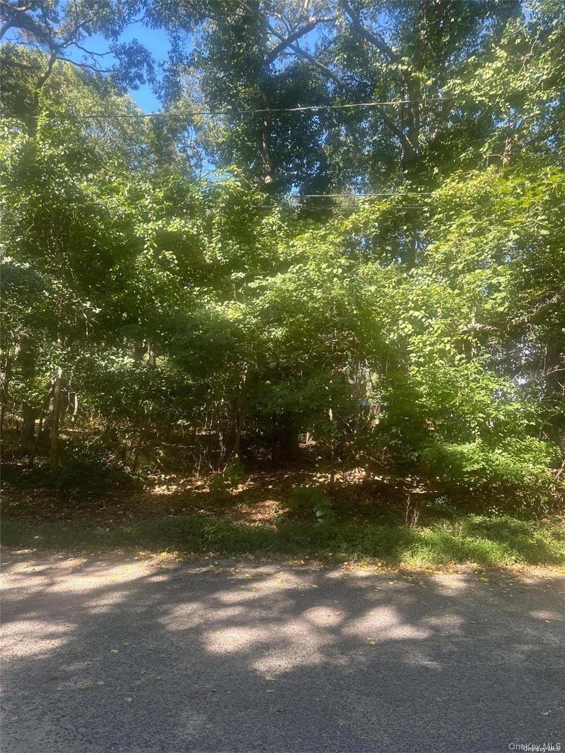 8 Shell Road Hampton Bays, NY 11946 - Photo 5 of 5 Gallery Image 5