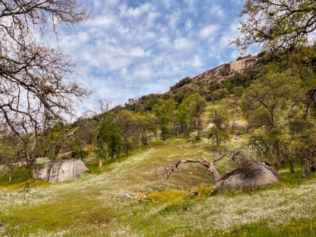 39950 Millwood Road Dunlap, CA 93621 - Photo 11 of 72 Gallery Image 11