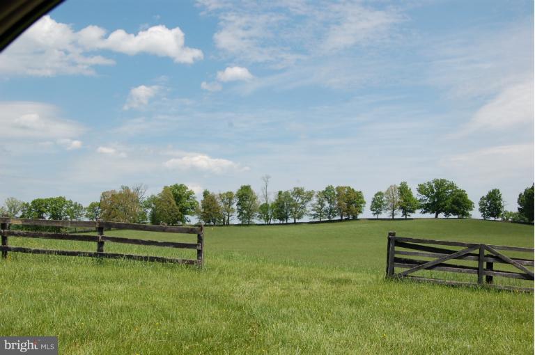 33201 Millville Road Upperville, VA 20184 - Photo 20 of 29 Northern Hay field