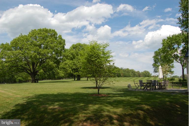 33201 Millville Road Upperville, VA 20184 - Photo 24 of 29 Back yard