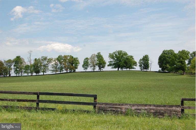 33201 Millville Road Upperville, VA 20184 - Photo 26 of 29 Front Hay field