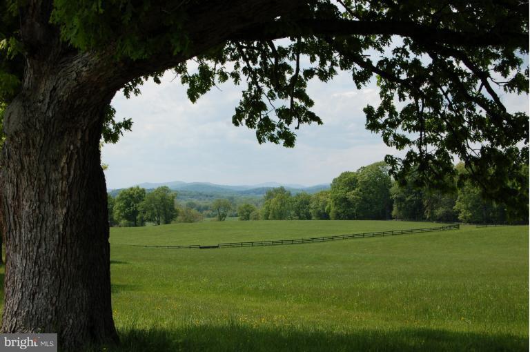 33201 Millville Road Upperville, VA 20184 - Photo 27 of 29 South western view