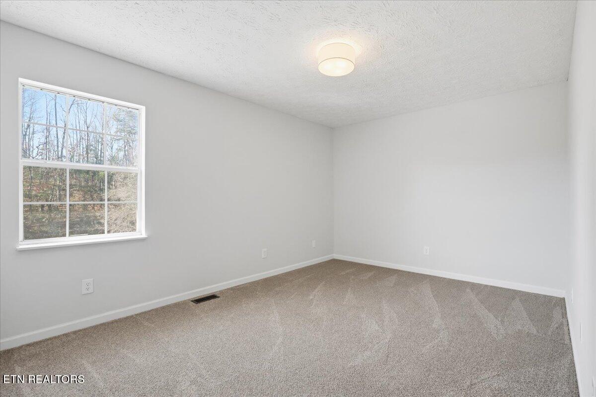 281 Main Street Maynardville, TN 37807 - Photo 20 of 26 20-015_7K9A3339