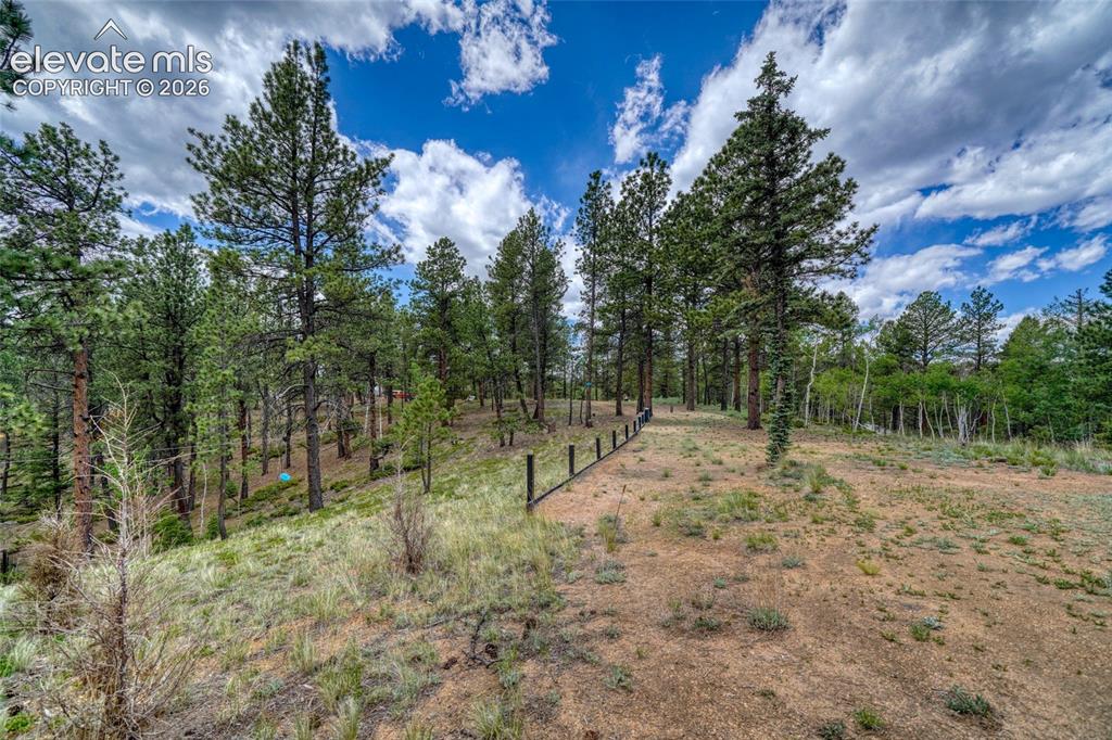 2927 Pathfinder Road Florissant, CO 80816 - Photo 27 of 37