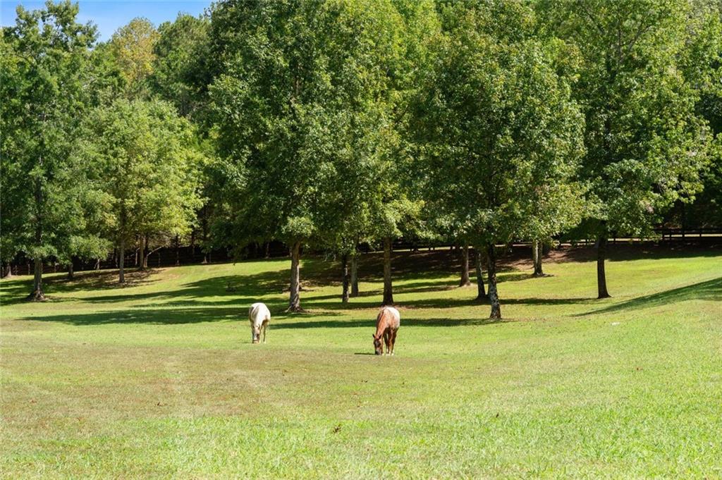 1524 Blacks Bluff Road Southwest Rome, GA 30161 - Photo 71 of 84 Gallery Image 71