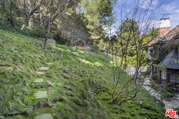 a big yard with lots of green space