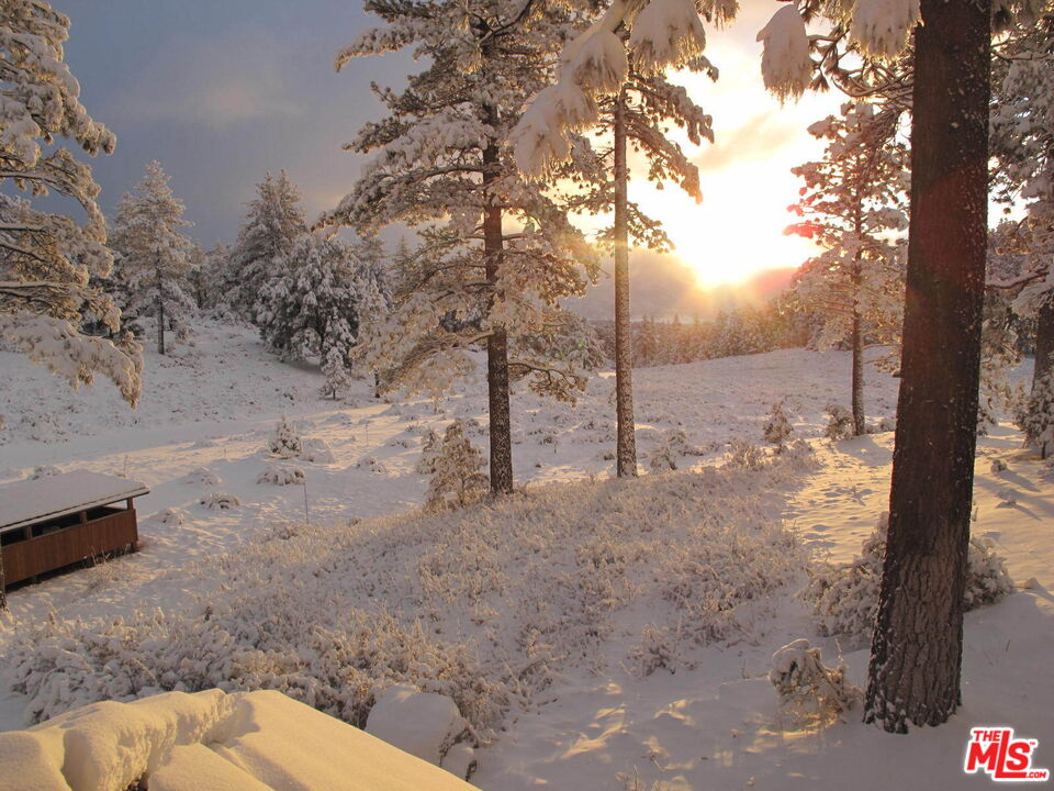 33224 Seymour Canyon Road Frazier Park, CA 93225 - Photo 17 of 32 a view of a yard with a tree
