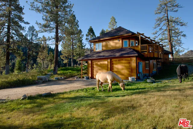 a backyard of a house with table and chairs plants and large tree