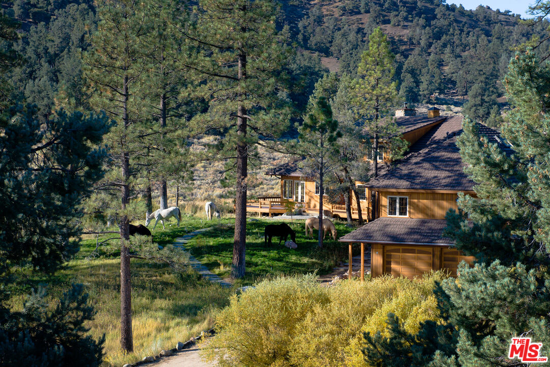 33224 Seymour Canyon Road Frazier Park, CA 93225 - Photo 32 of 32 a view of a house with a yard and a large tree