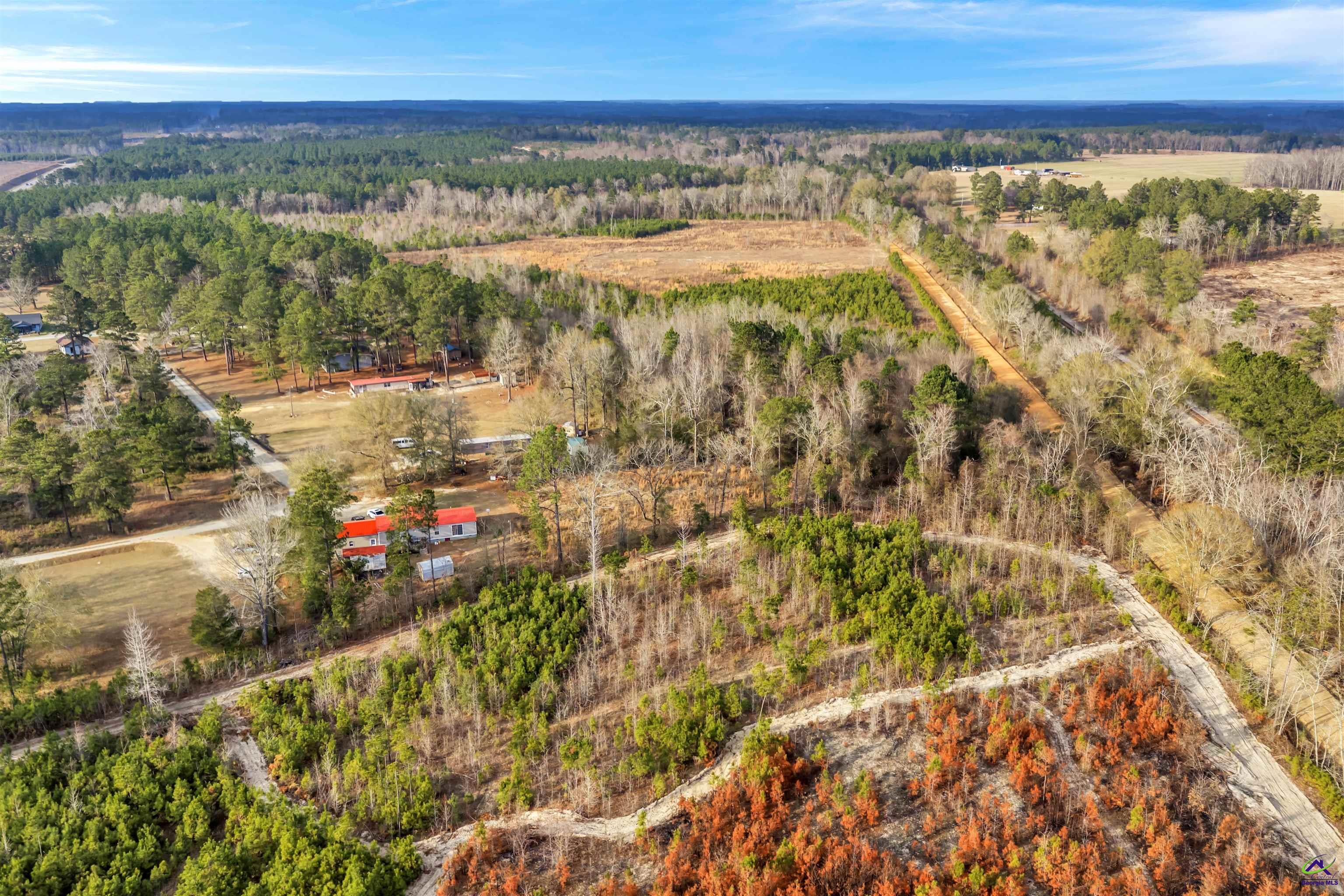 0 Old Empire Road Cochran, GA 31014 - Photo 5 of 13