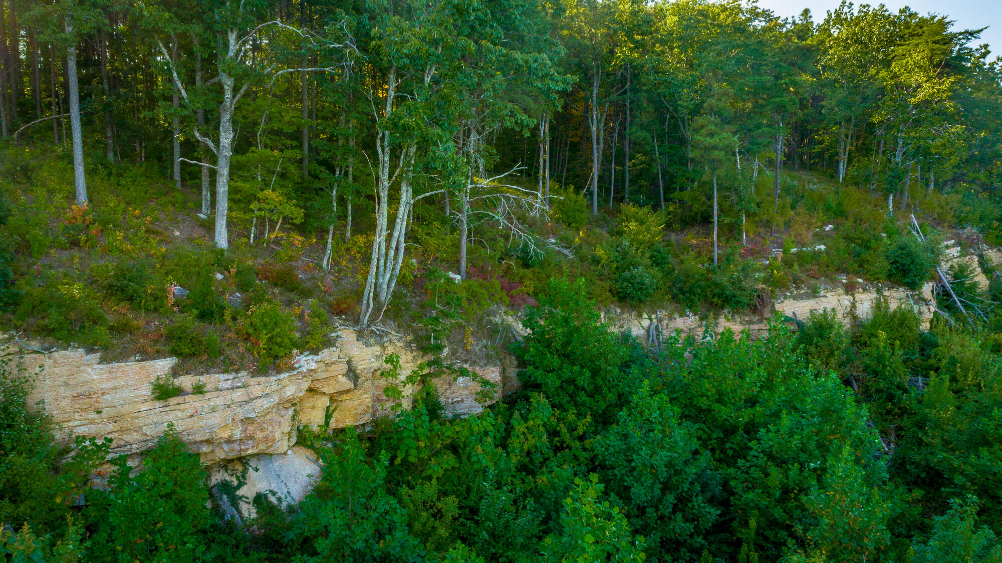 0 High Ground Road, Unit LOT 2218 Guild, TN 37340 - Photo 54 of 115 0 High Ground Road - Lot 2218 HD-15