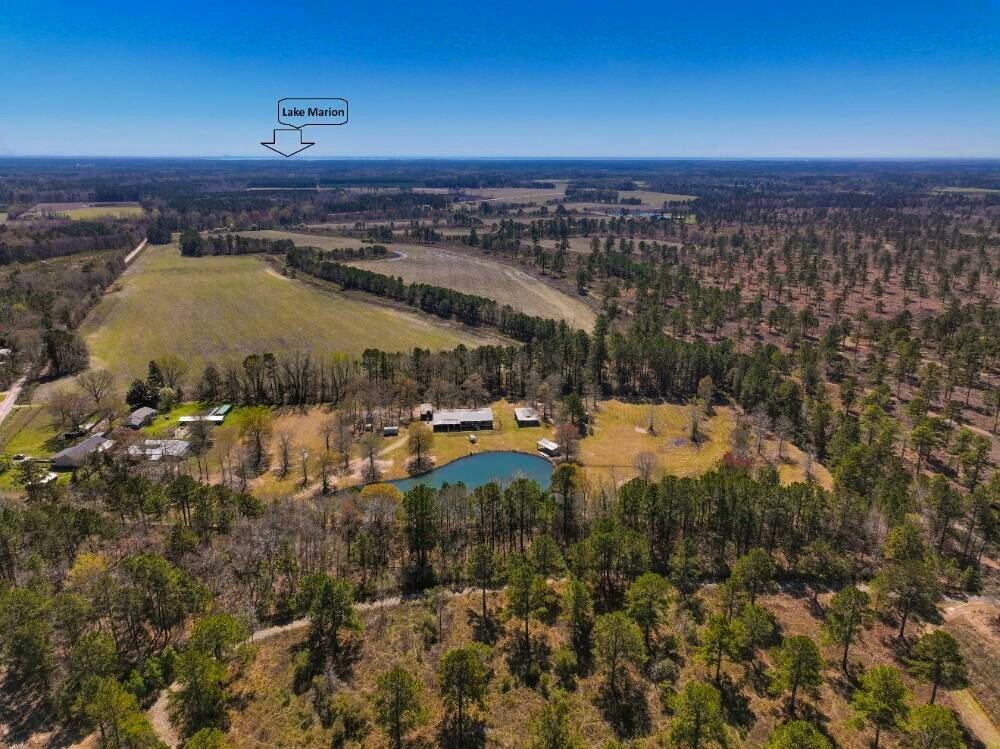 1790 Strickland Road Manning, SC 29102 - Photo 35 of 39 Strickland prox to lake