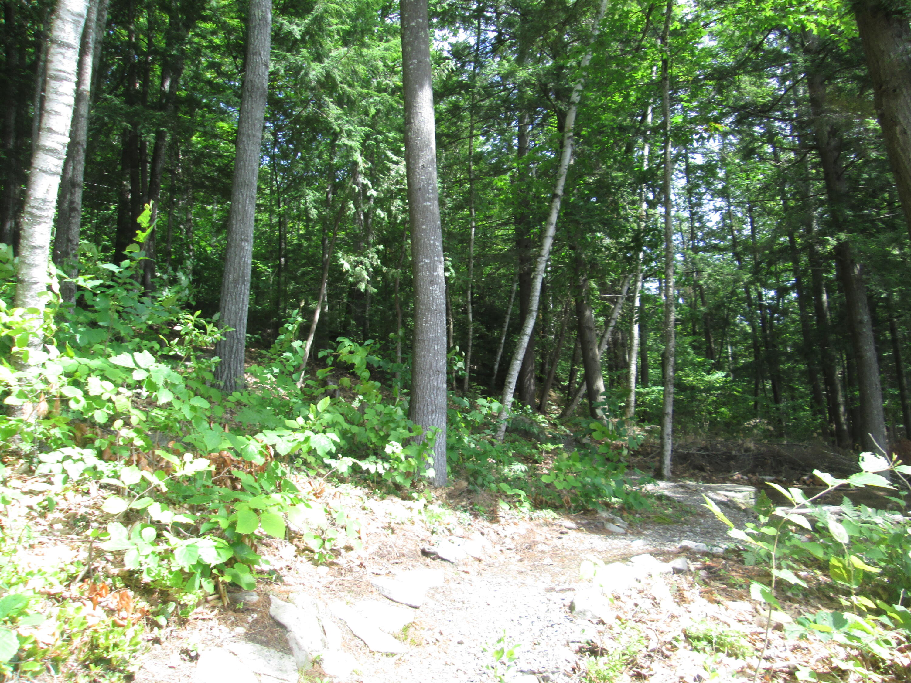 58 Vienna Shores Road Vienna, ME 04360 - Photo 15 of 17 IMG_2794
