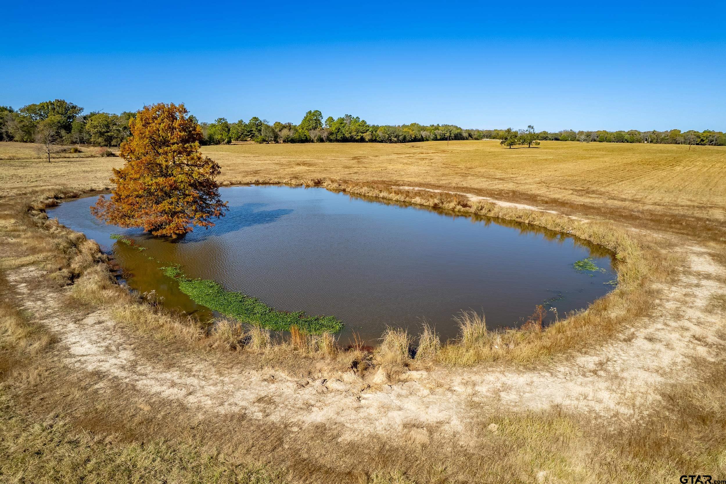 1504 Wills Point Wills Point, TX 75169 - Photo 5 of 17