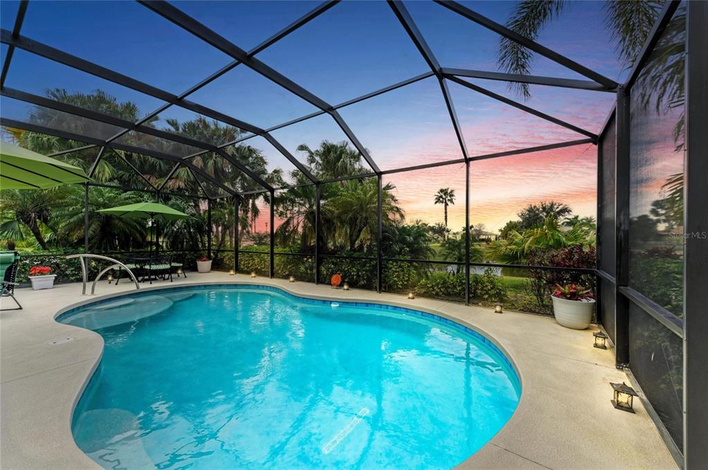 302 Cockle Shell Loop Apollo Beach, FL 33572 - Photo 55 of 75 a view of a swimming pool with a patio
