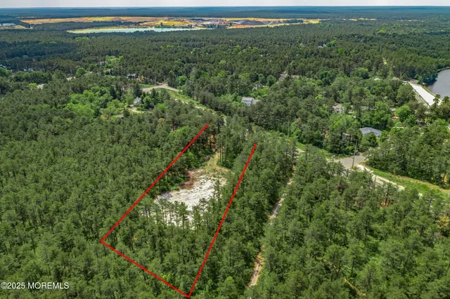 a view of a city with lush green forest