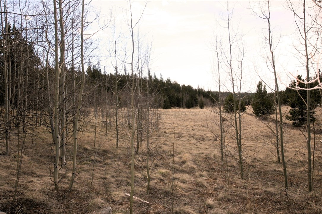 258 Co 665 Road Fairplay, CO 80440 - Photo 18 of 25 Gallery Image 18