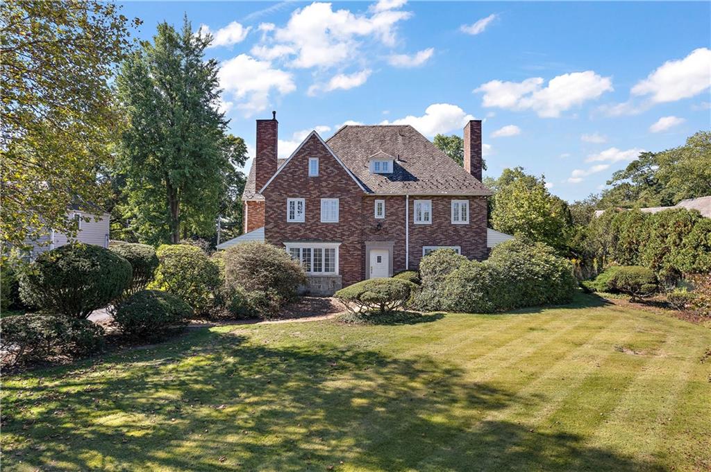 a view of a big yard with plants and large trees