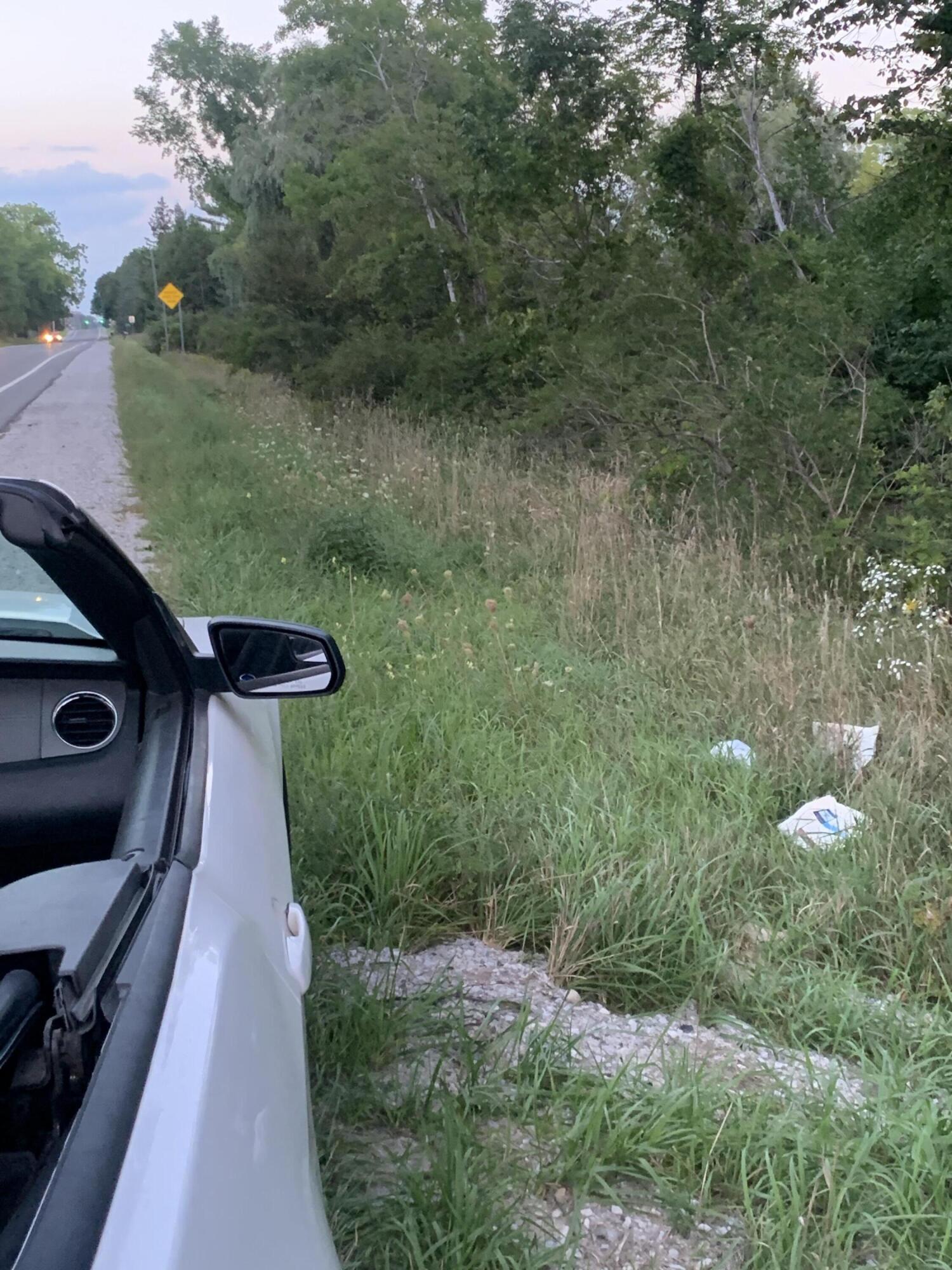 30th Avenue Remus, MI 49340 - Photo 2 of 6 Image to North/Remus