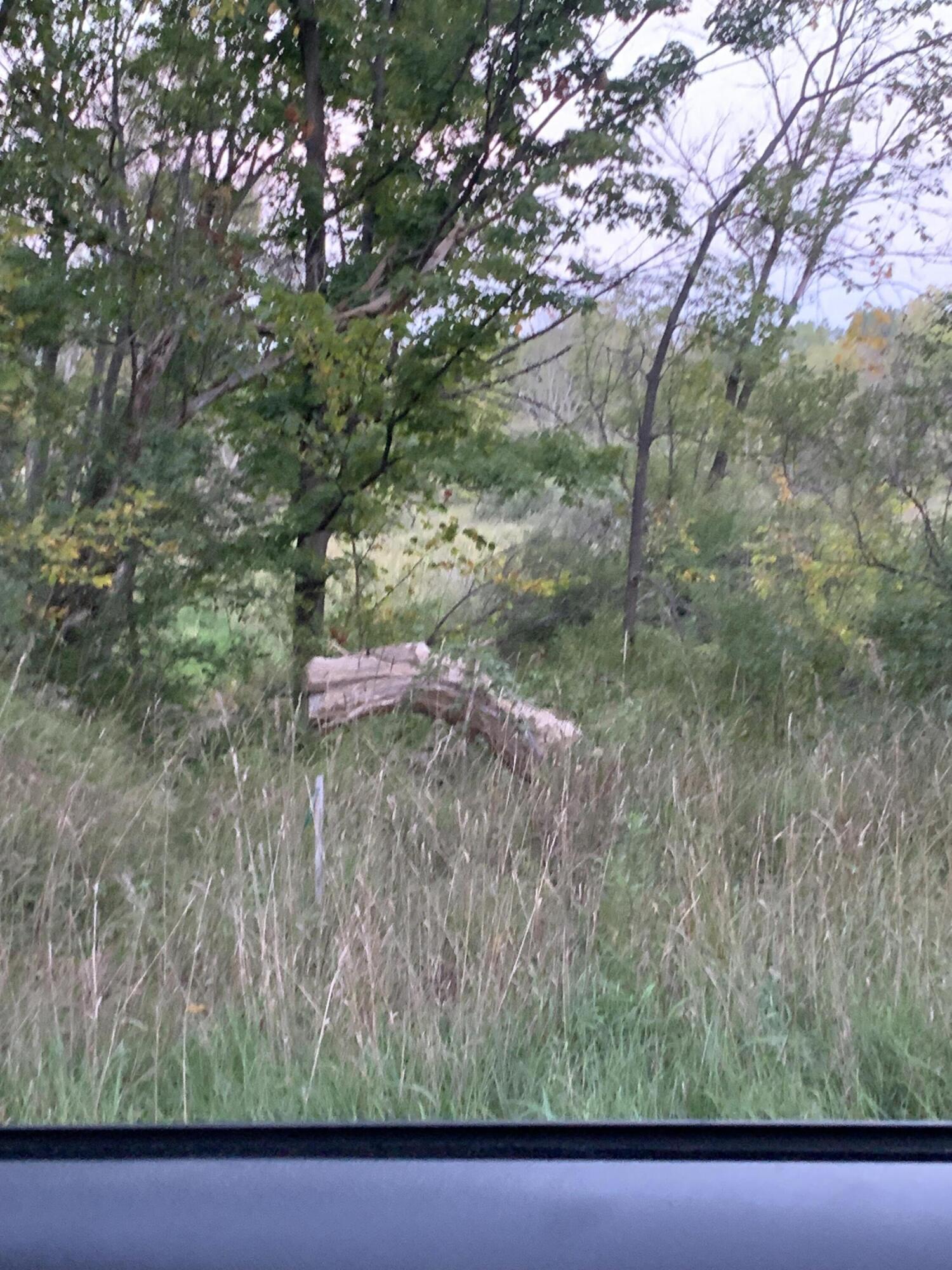 30th Avenue Remus, MI 49340 - Photo 3 of 6 "Prairie"