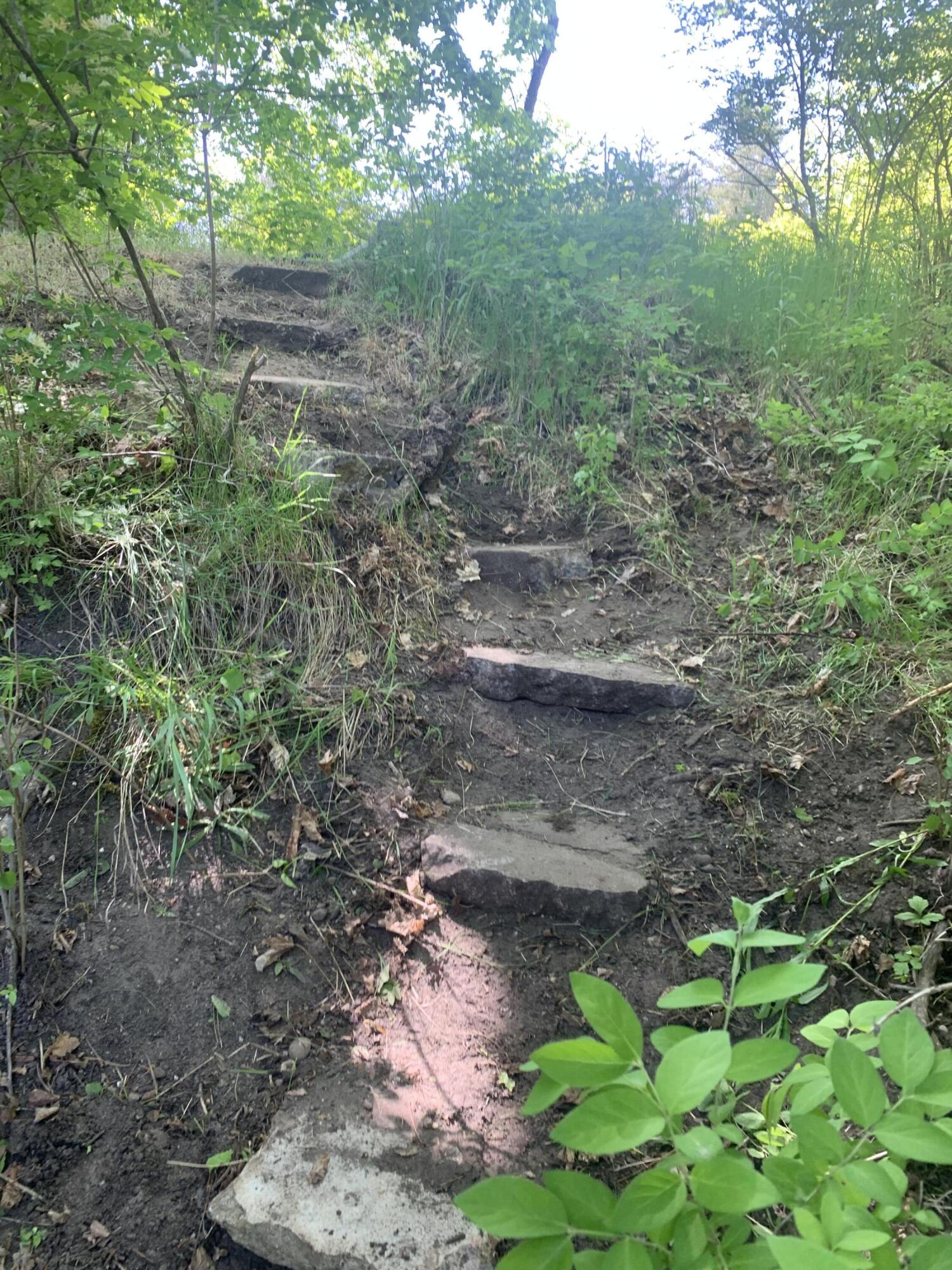 30th Avenue Remus, MI 49340 - Photo 4 of 6 Stairway to brook/stream