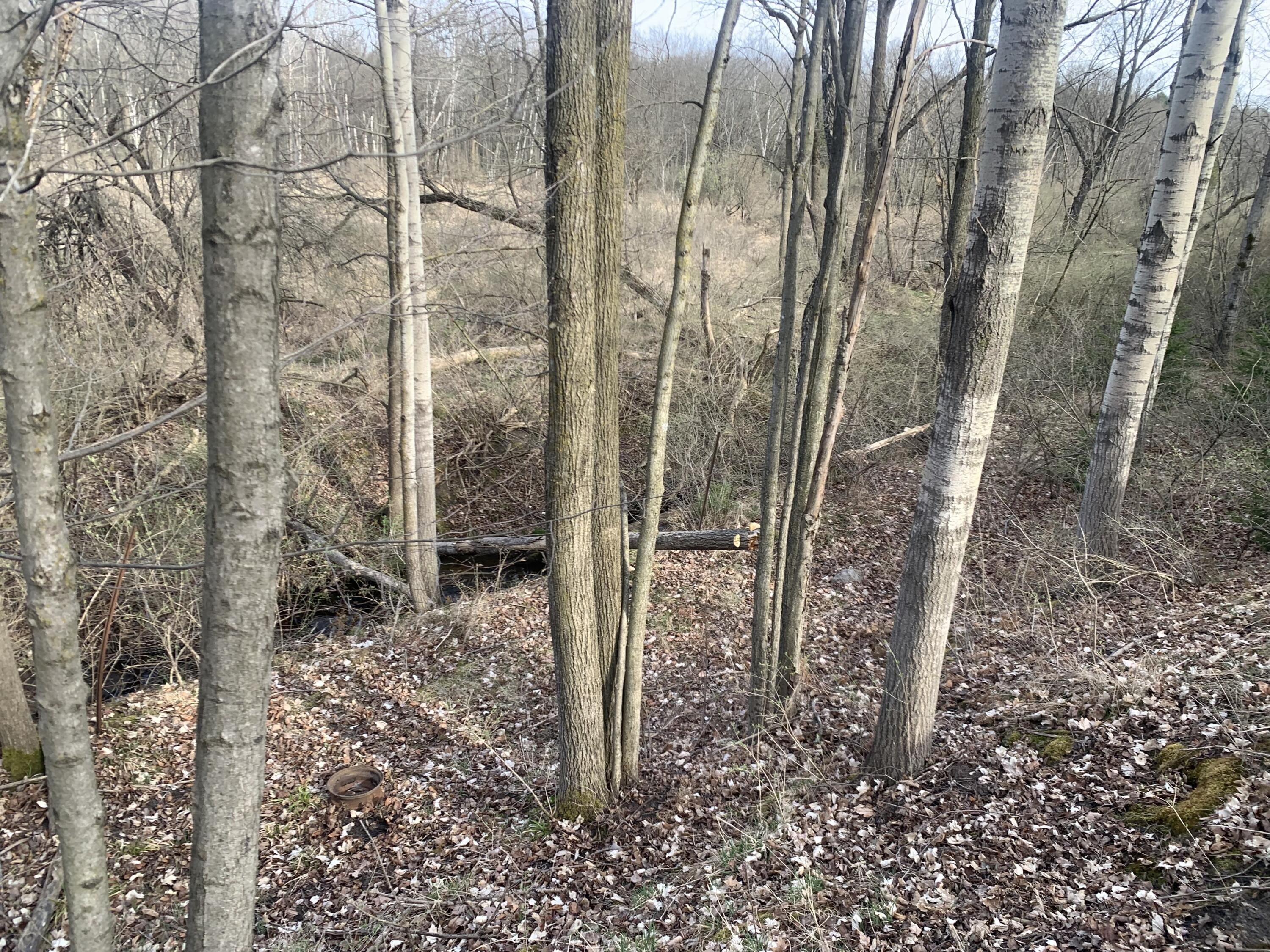 30th Avenue Remus, MI 49340 - Photo 6 of 6 View towards Pine River Rd.