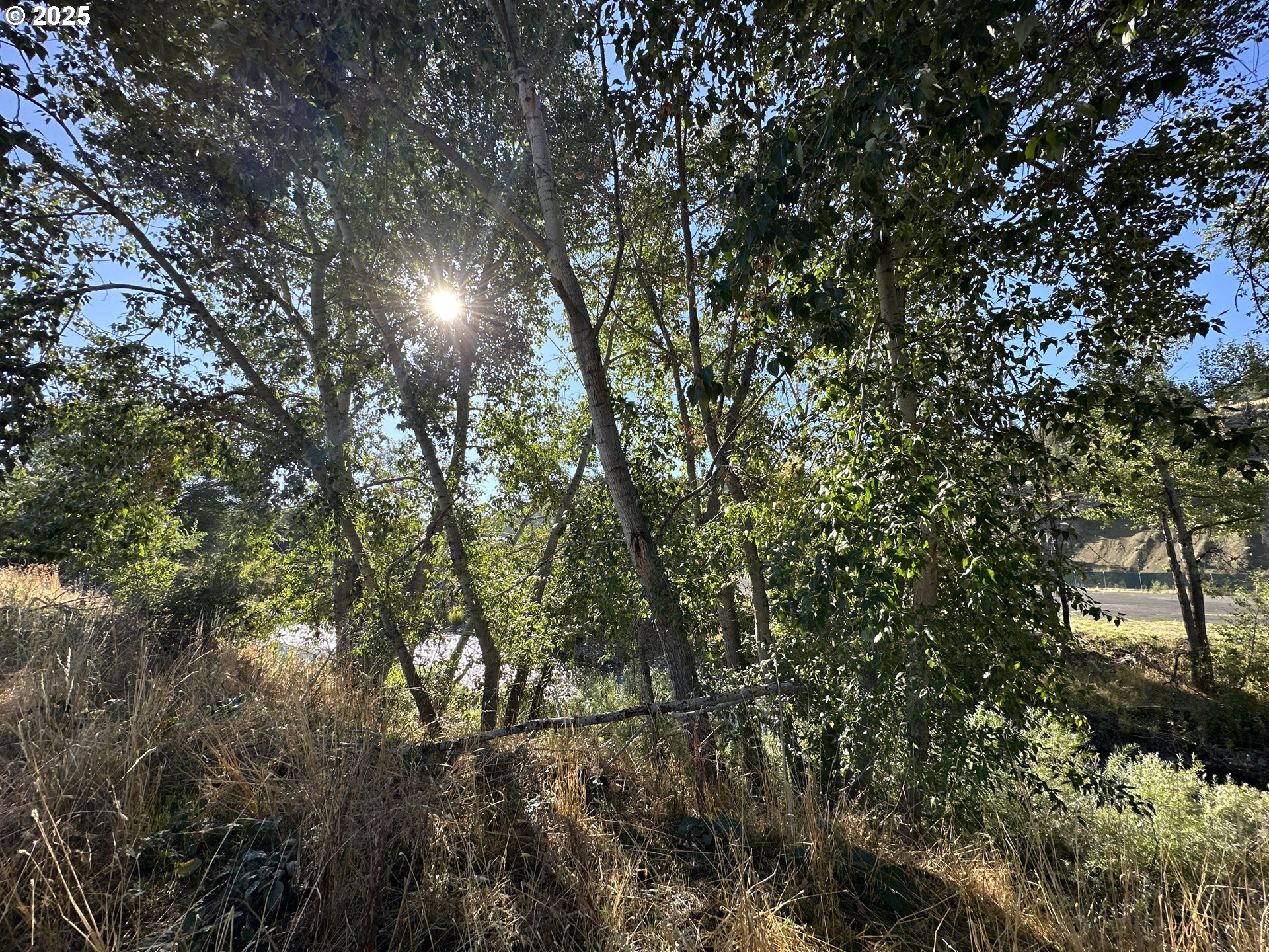 St-johnday Northeast 7th Street John Day, OR 97845 - Photo 15 of 33 a view of a forest