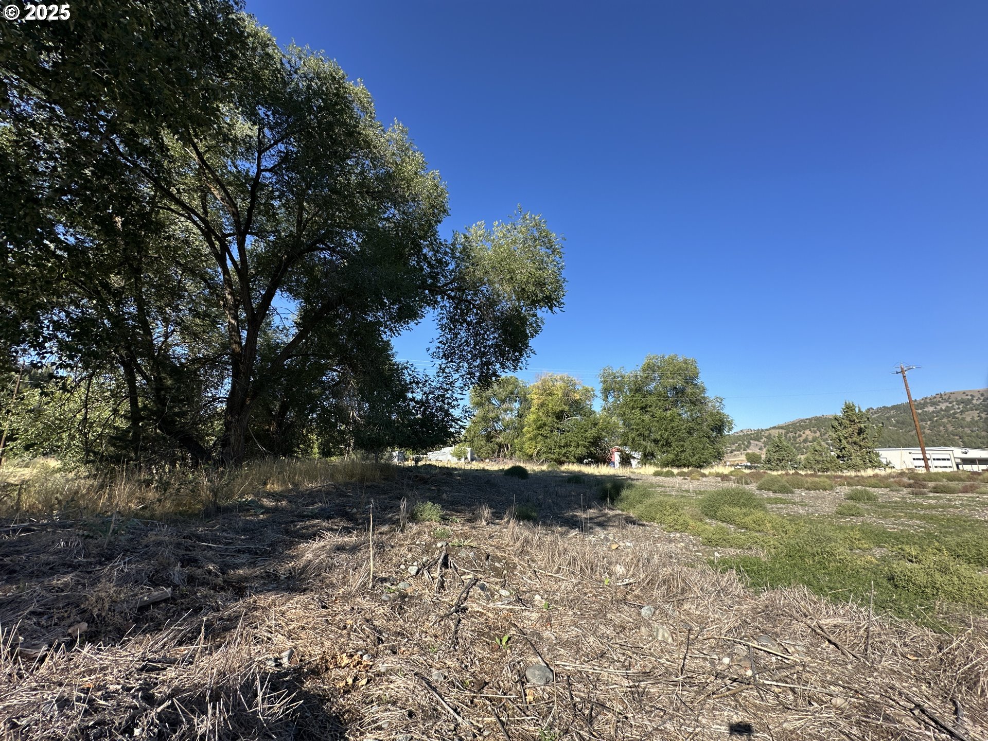 St-johnday Northeast 7th Street John Day, OR 97845 - Photo 9 of 33 a view of a yard with plants and a large tree
